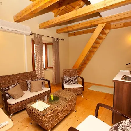 Donna * 트로기르